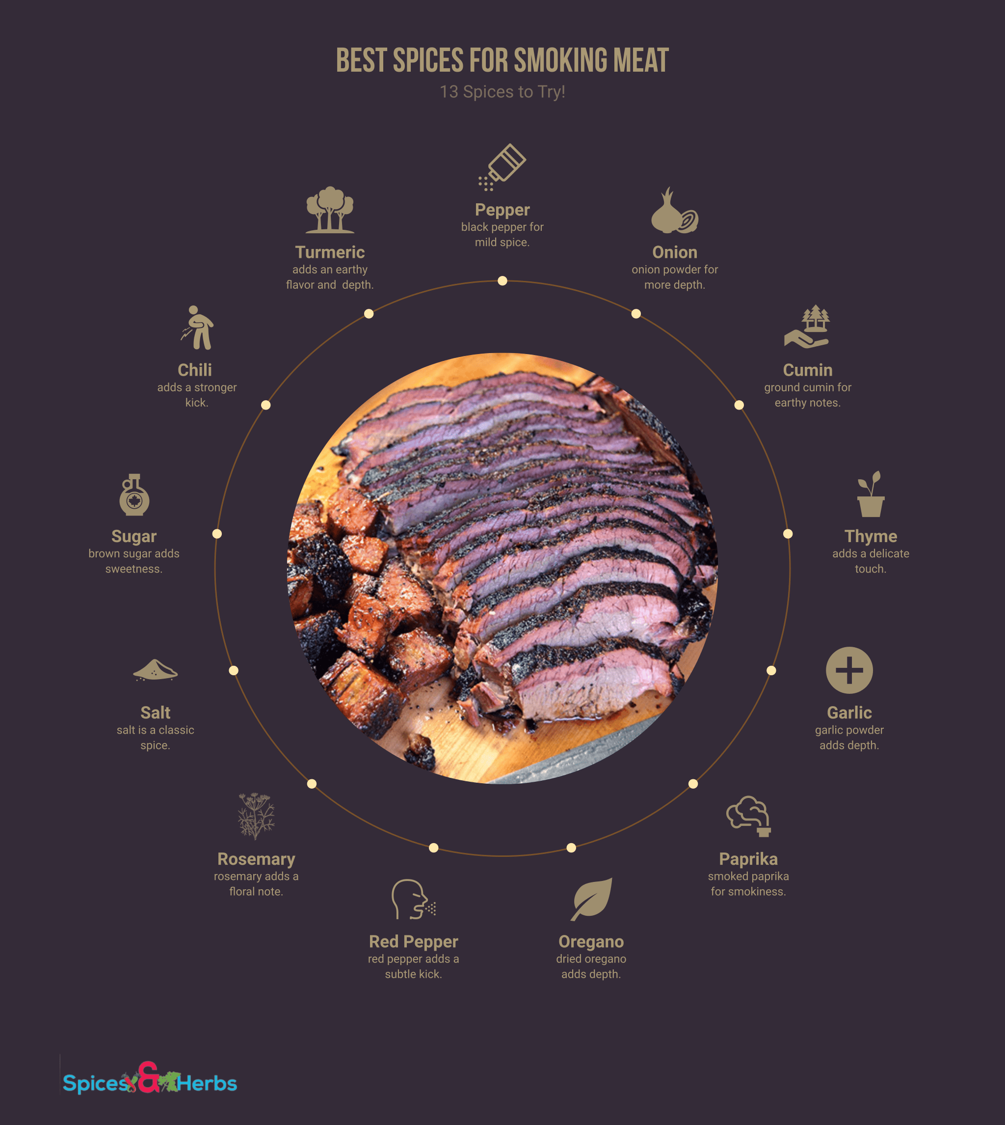 best spices for smoking meat (infographic)