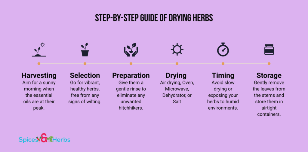 steps to dry herbs