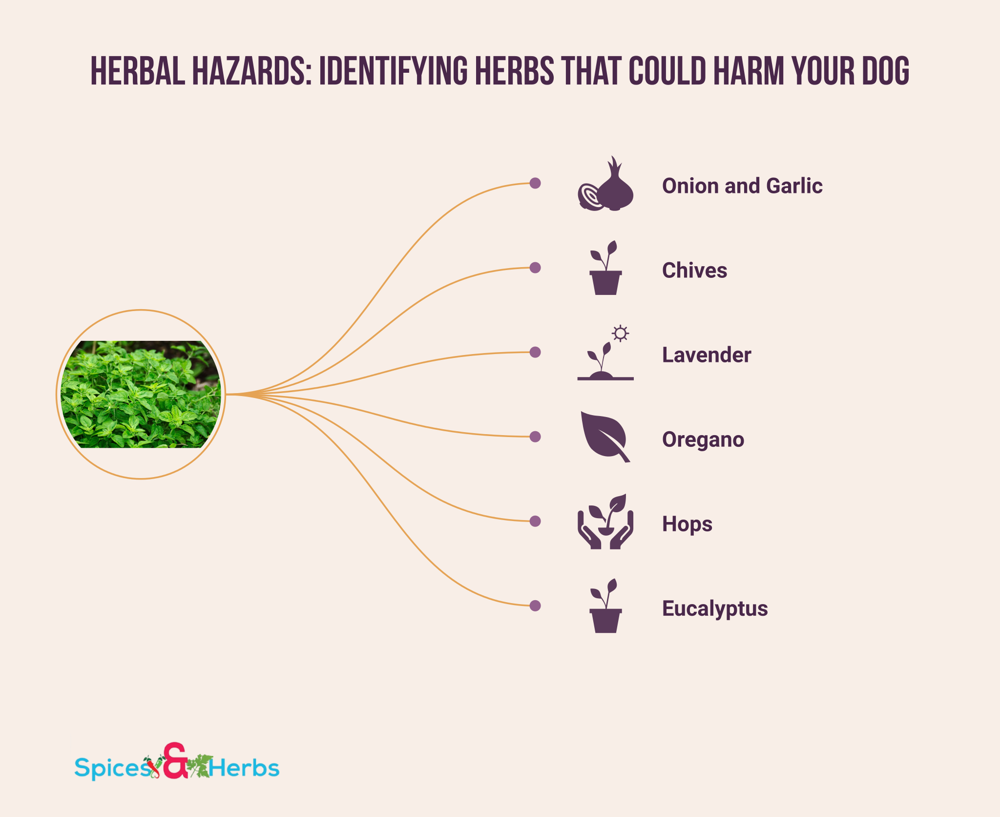 what herbs are toxic to dogs