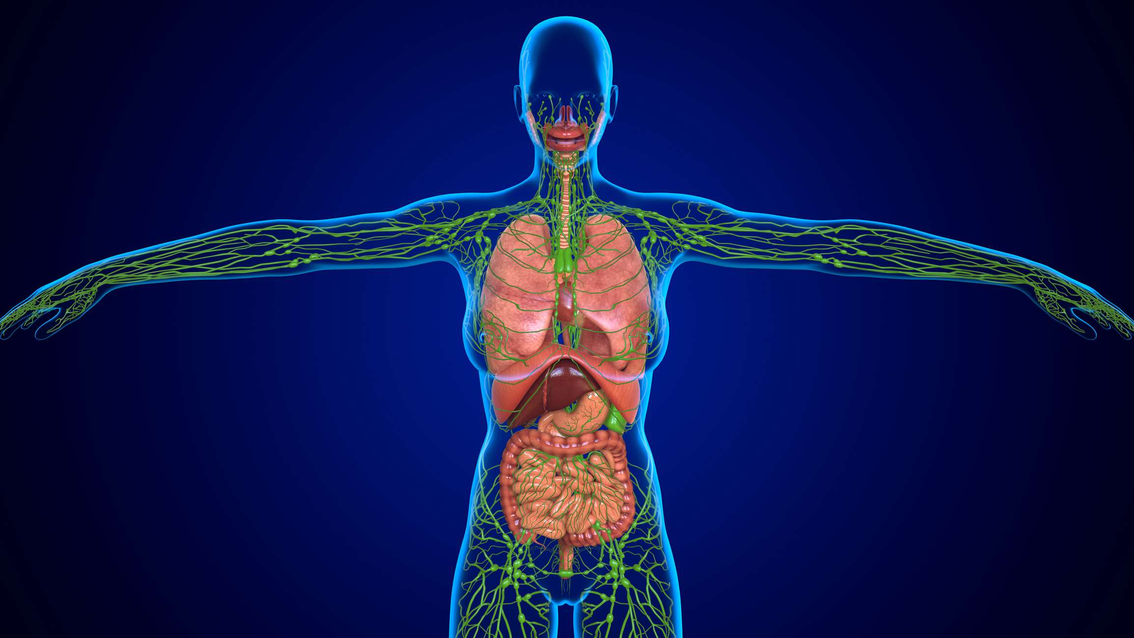herbs for lymph nodes