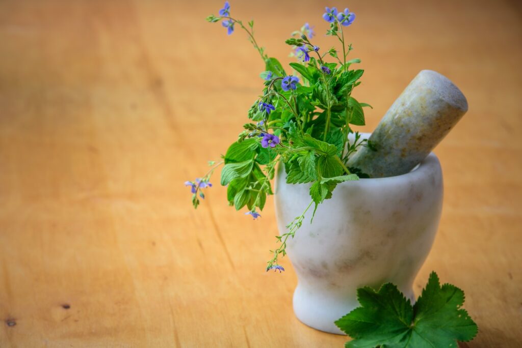 health benefits of healing herbs