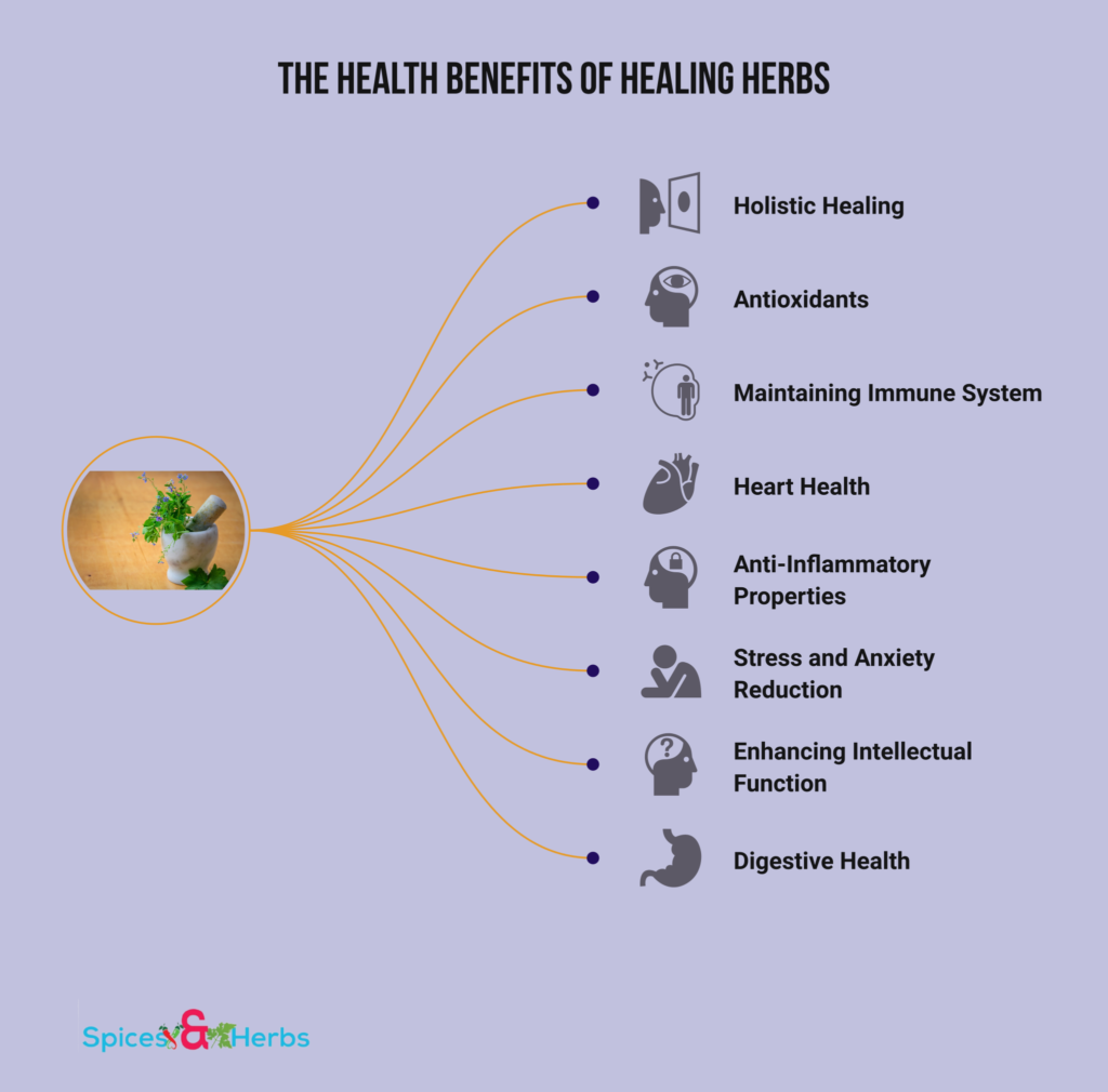 health benefits of healing herbs