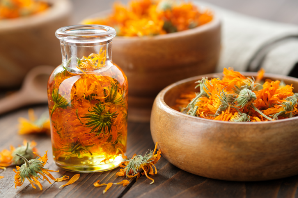 long-term herb preservation methods