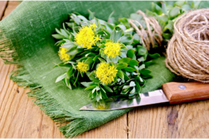 mood-enhancing herbal remedies